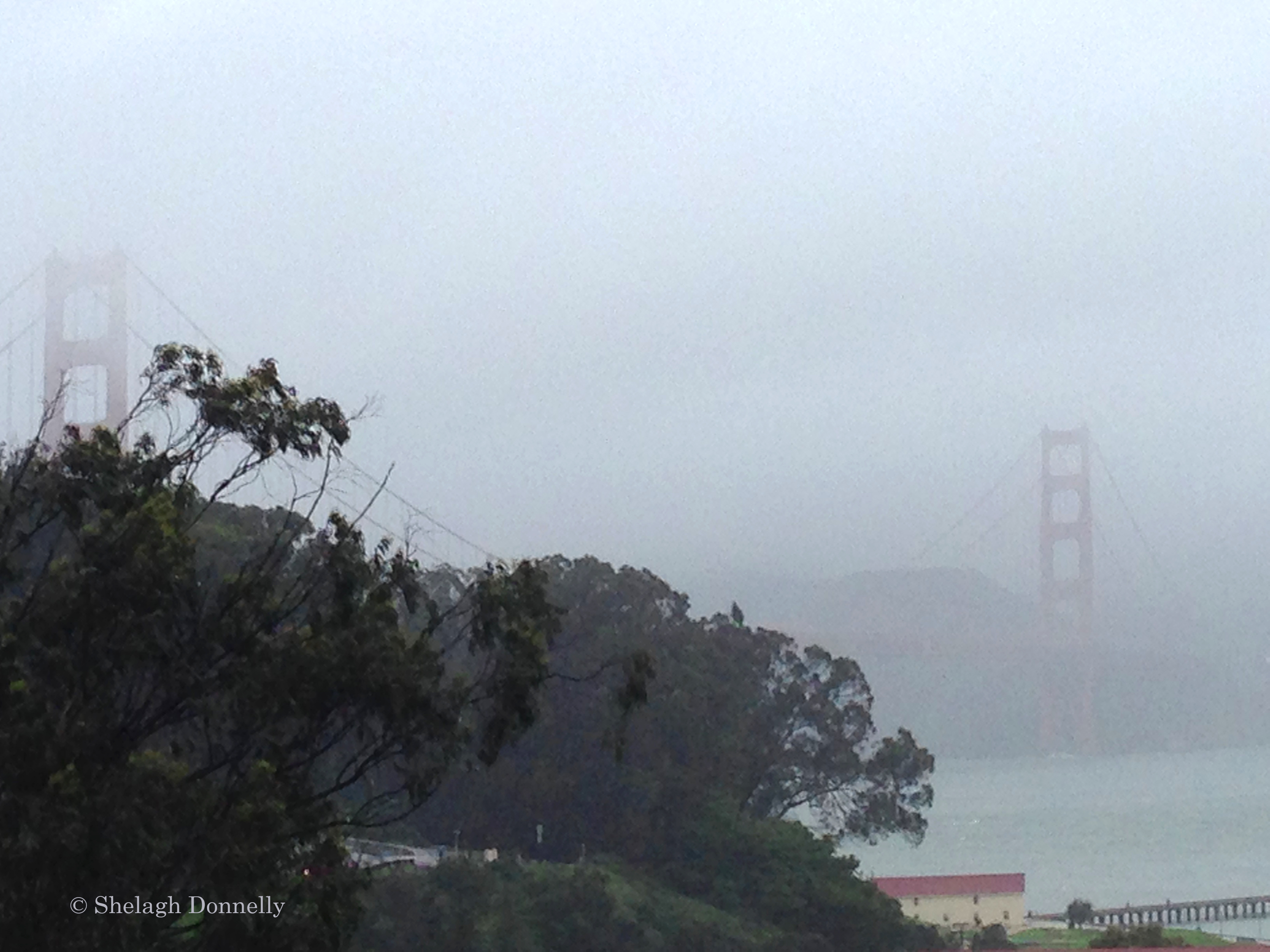 Golden Gate Bridge in Rain Copyright Shelagh Donnelly – EXCEPTIONAL EA ...