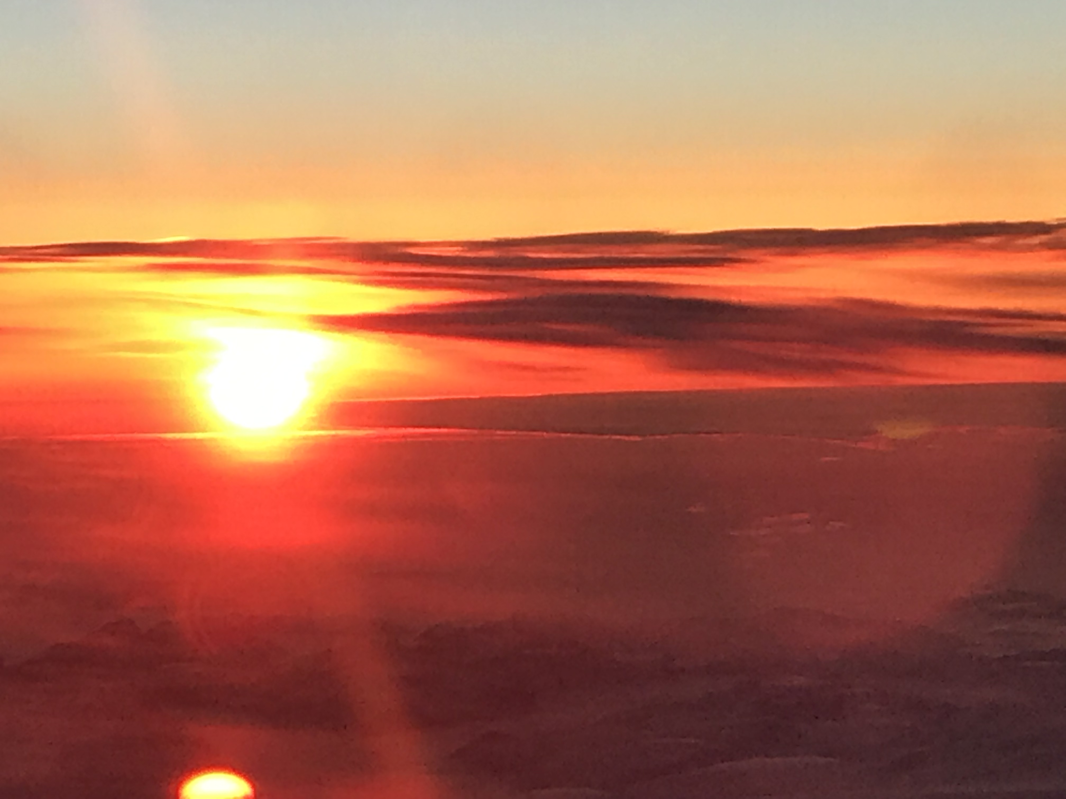 Img 2969 Exceptional Ea