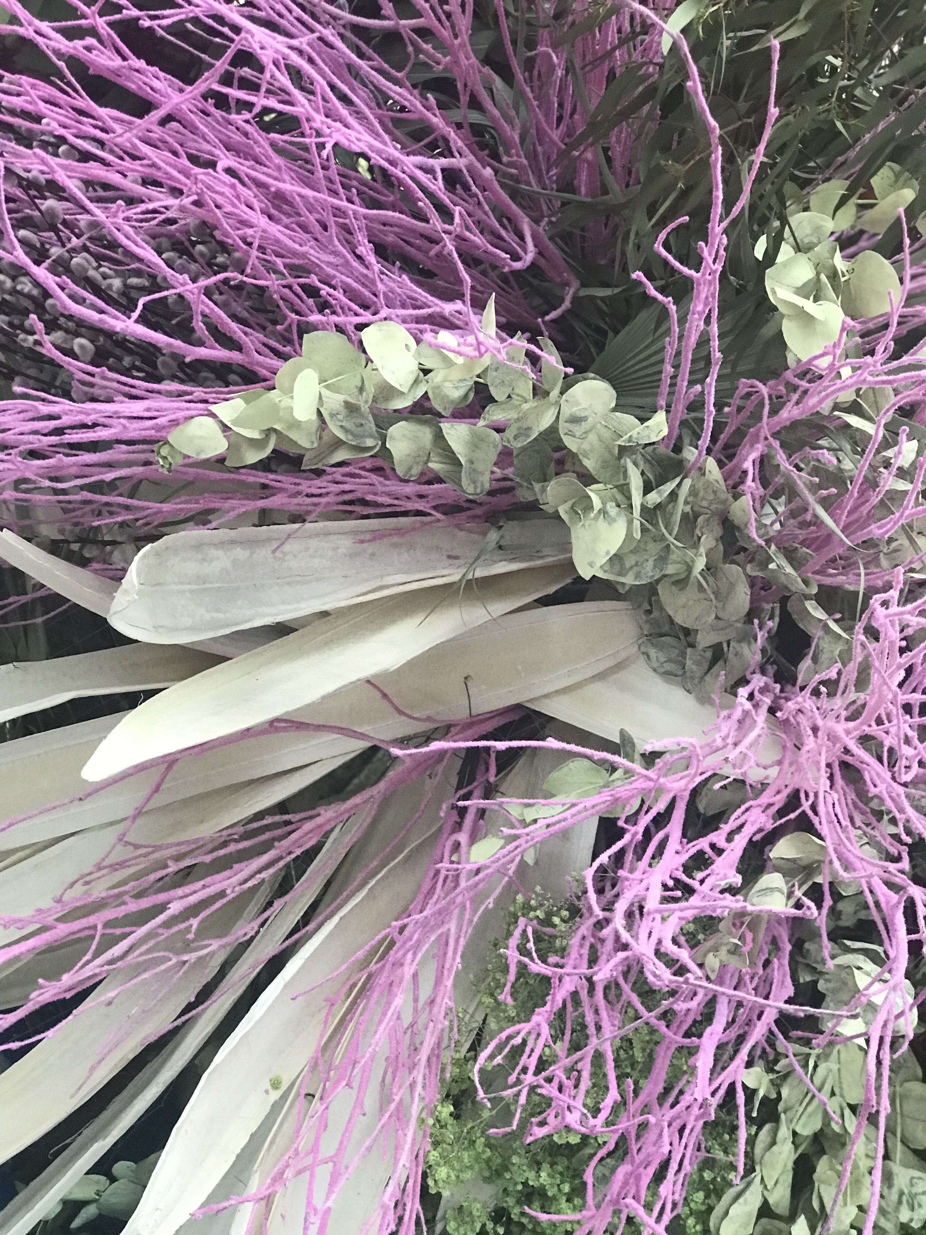 Img 9941 Exceptional Ea