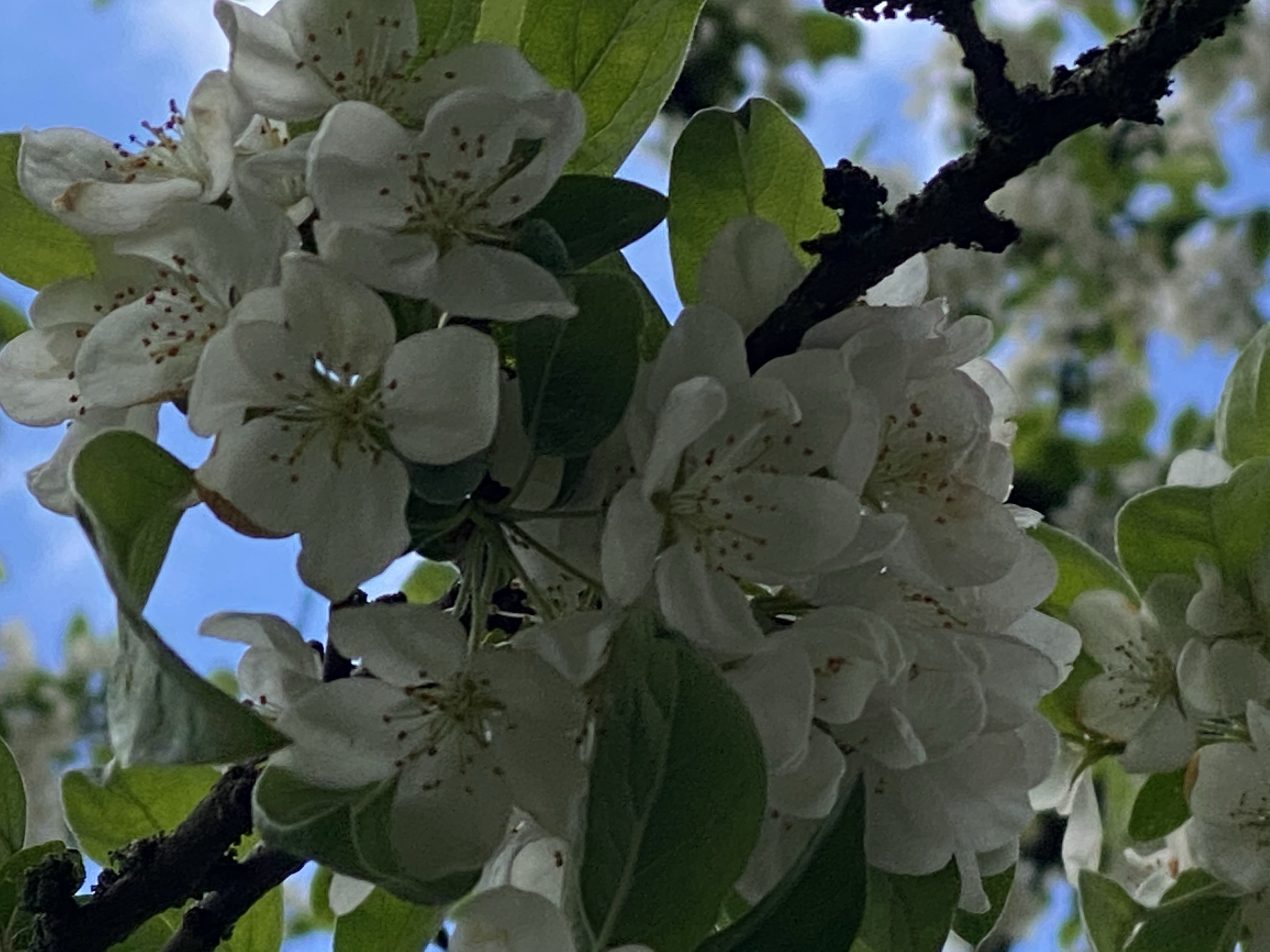 Img 4074 Exceptional Ea