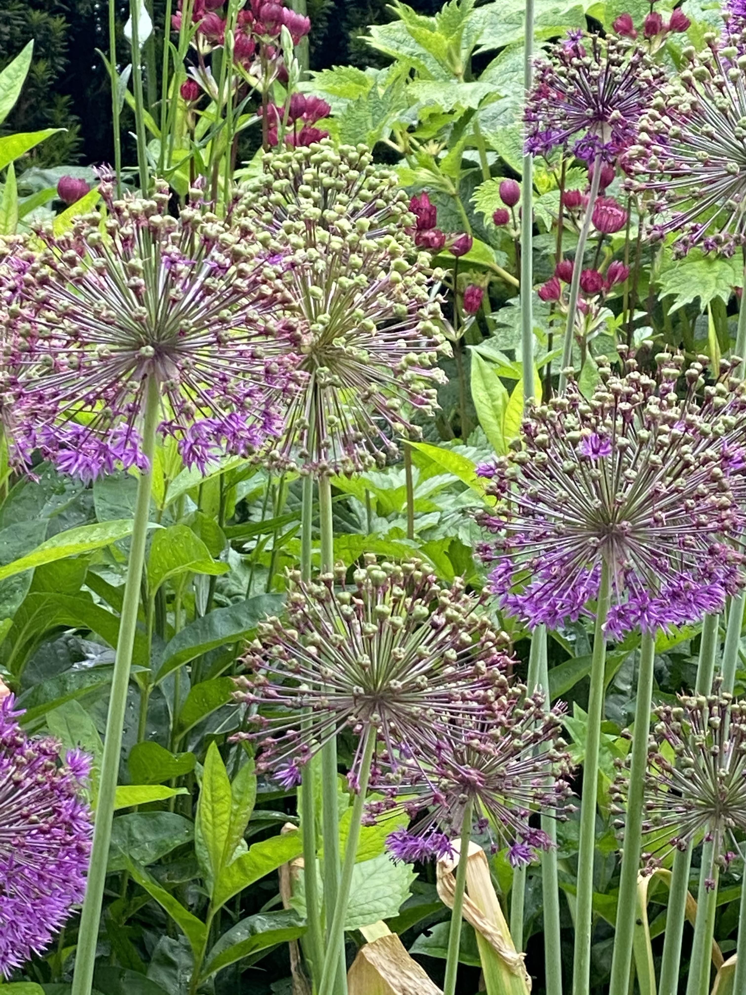 Img 7433 Exceptional Ea Home